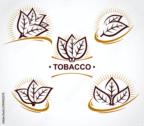 Tobacco leaf label and icon set. Collection icons tobacco. Vector