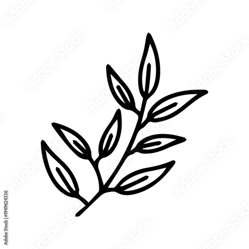 Leaf Branch Illustration