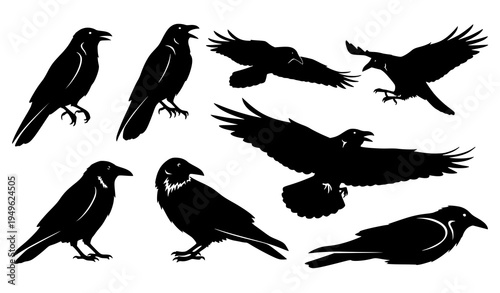 Dark Crow Raven Bird Silhouette Collection Black Flying and Perched Halloween Vector Icons