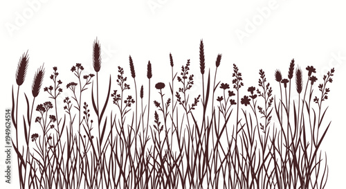 Silhouette of various wetland plants and grasses against a white background.