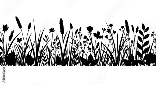 Silhouette of Wild Grasses and Flowers Border Seamless Pattern.
