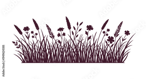 Silhouette of Wild Grasses and Flowers in a Field.