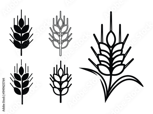 Wheat ear vector icons and symbols in outline and solid black fill for agriculture and harvest design elements