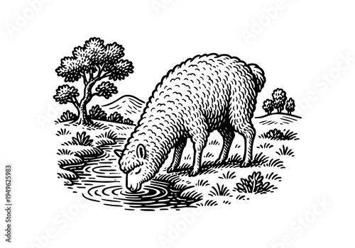 Fluffy Lamb Hand Drawn Illustration Vector by AZ for Books, Arts, Design and Decoration Graphic Asset