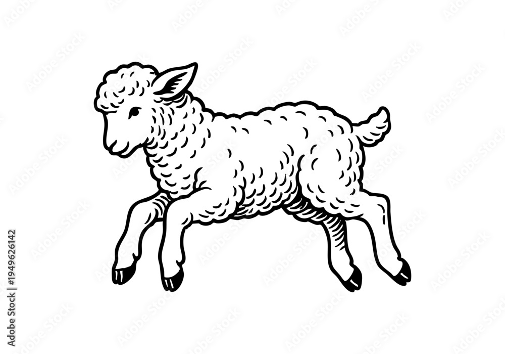 Fototapeta premium Fluffy Lamb Hand Drawn Illustration Vector by AZ for Books, Arts, Design and Decoration Graphic Asset