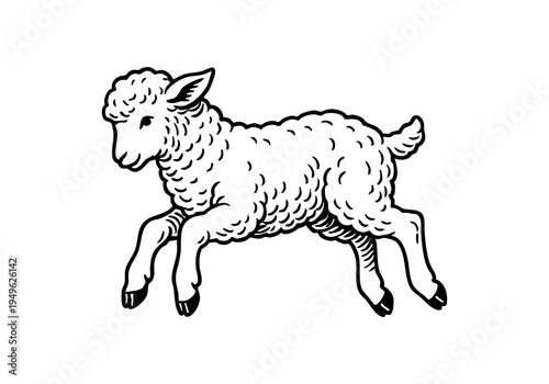 Fluffy Lamb Hand Drawn Illustration Vector by AZ for Books, Arts, Design and Decoration Graphic Asset