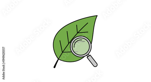 Magnifying glass on a green leaf.