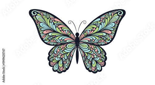 Colorful Butterfly with Open Wings.