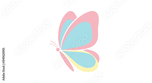 Colorful Butterfly Wings Spread Wide Open.