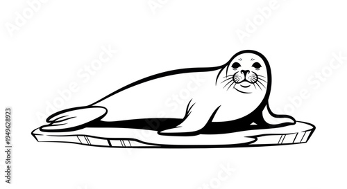 Seal resting on ice illustration