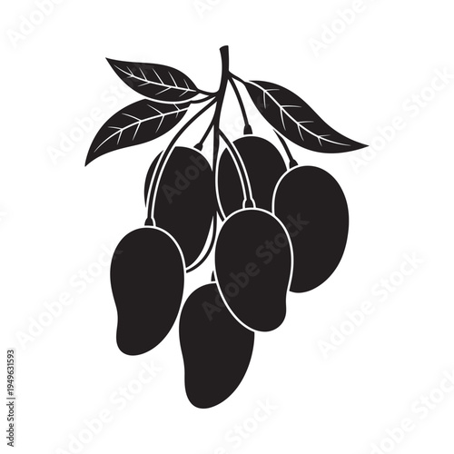 A black and white illustration of a mango branch with fruit