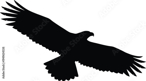 Flying eagle silhouette with wide spread wings, powerful bird of prey isolated black wildlife vector illustration symbol