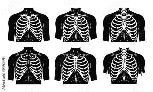 Human chest skeleton anatomy illustration black and white chest bone structure