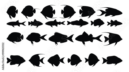 A collection of various fish silhouettes
