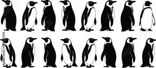 Penguin silhouette collection with different standing poses black and white Antarctic bird vector set isolated wildlife illustration bundle