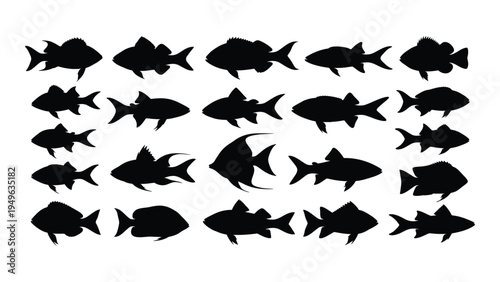 A large group of different fish silhouettes