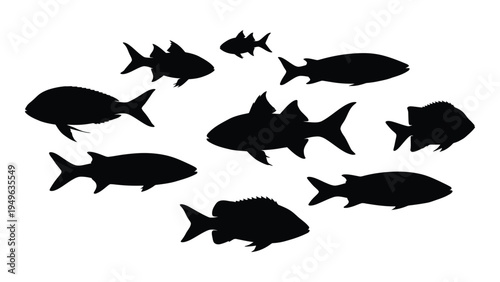 A school of fish swimming together