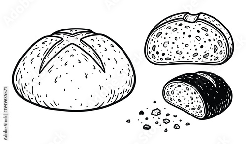 Hand drawn illustration of bread loaves, half bread, bread crumbs isolated on white background