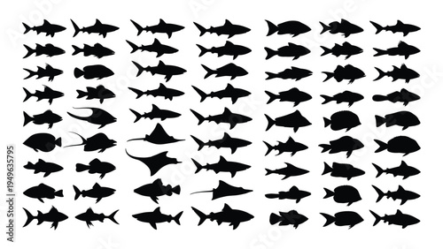 A large group of different fish silhouettes