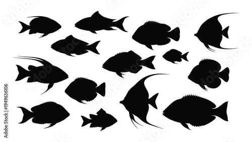 A school of fish swimming together