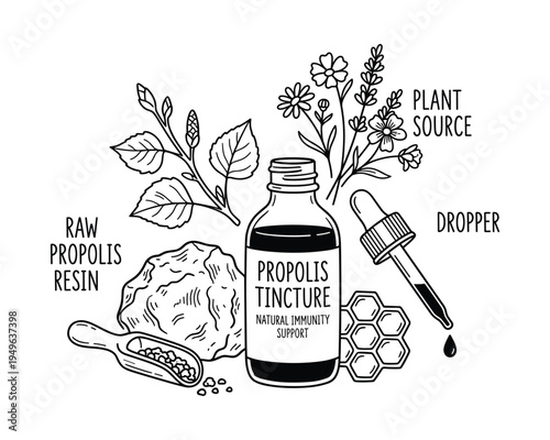 Propolis tincture illustration with plant source, raw resin, and dropper with natural immunity support elements