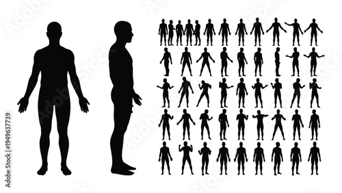 A collection of human silhouettes in various poses and sizes