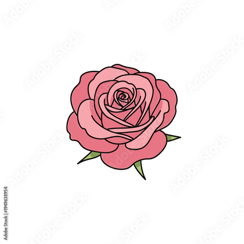 Pink Rose Flower Outline on White vector illustration