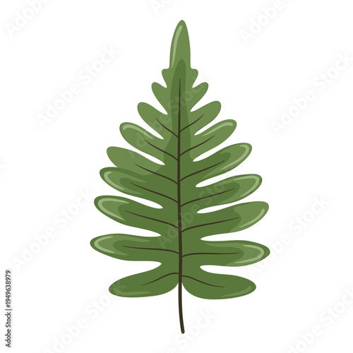 Isolated Fern Leaf vector illustration