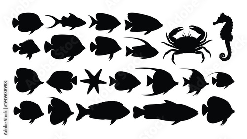 Black silhouettes of various sea creatures