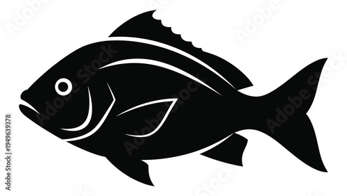 A black fish with white lines on its body