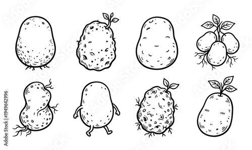Set of potato doodles in various shapes and growth stages for farm themed designs