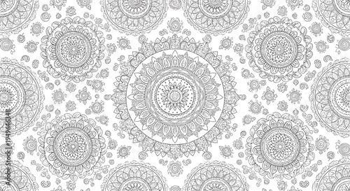 Intricate mandala floral pattern vector illustration with highly detailed geometric ornaments and ethnic decorative motifs for adult coloring book pages.Intricate mandala floral pattern vector illustr
