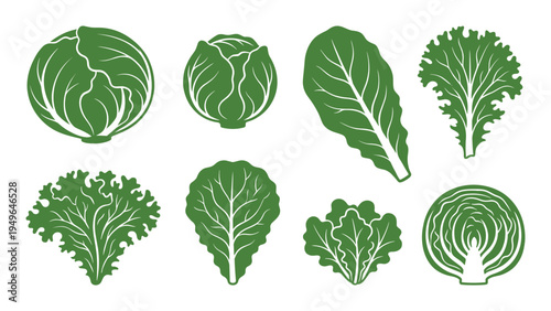 Green cabbage and lettuce leaf silhouette set for vegetable design projects