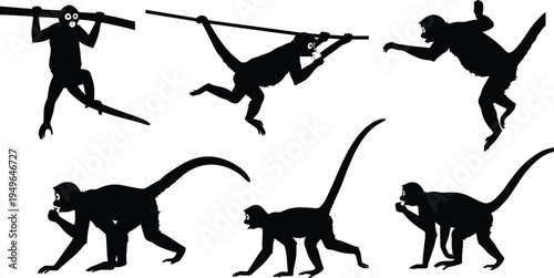 Monkey silhouettes, primate poses, swinging leaping walking, animal behavior, climbing wildlife vector illustration design set