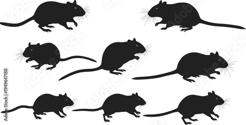 Mouse rat silhouettes, rodent poses, standing crouching sitting, animal behavior, pest wildlife vector illustration design set
