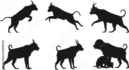 Mythical creature silhouettes, hybrid feline canine poses, fantasy animal, wildlife vector illustration design set