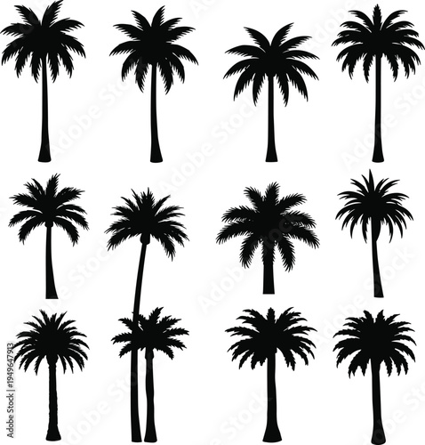 Palm tree silhouettes, tropical foliage grid, beach icons, exotic plants, summer nature shapes, jungle elements, vector palm collection