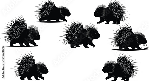 porcupine silhouette, animal vector, wildlife clipart, spiny mammal, black porcupine, rodent shape, woodland animal, porcupine artwork, 