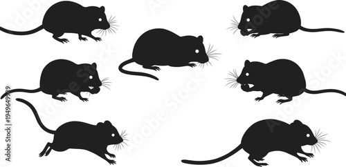 black silhouettes of cats