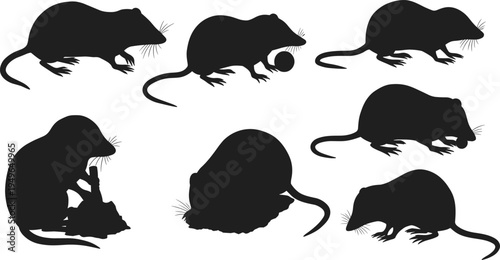 Rat silhouette illustrations, mouse silhouette vector, black rodent icons, pest control design, wildlife animal drawing, simple rat art, vermin graphic