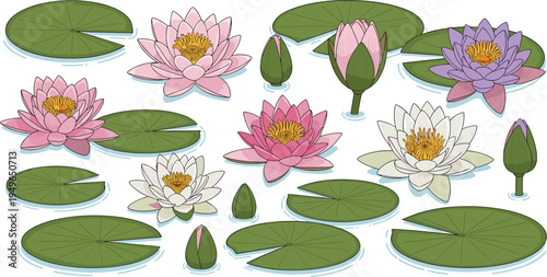 Set of hand drawn botanical vector illustrations featuring colorful water lilies lotus flowers and lily pads isolated on white background for spa and wellness designs