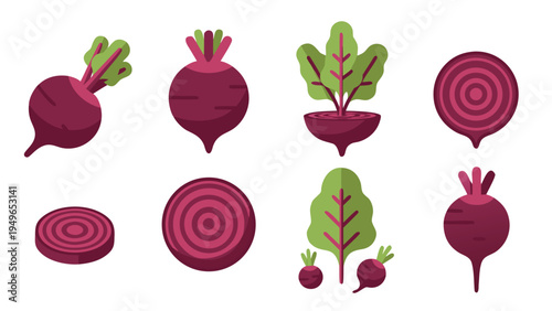 Collection of stylized beet vegetables and their cross-sections in flat design