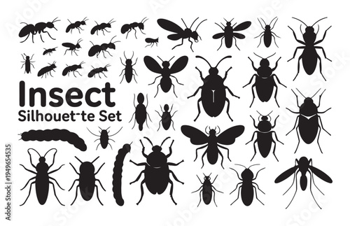 Large collection of insect silhouettes including ants beetles moths butterflies and caterpillars vector
