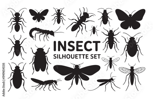 Insect silhouette set featuring ants butterflies moths beetles dragonflies and grasshoppers vector
