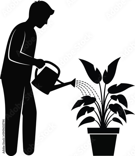 Silhouetted male figure diligently waters a large potted houseplant using a classic watering can device.