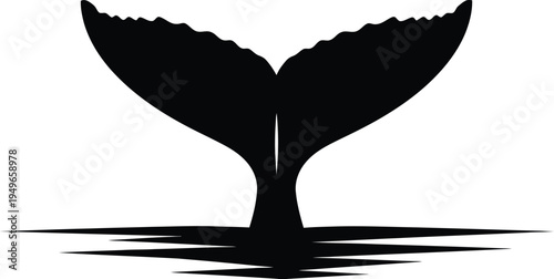 Black silhouette of a large whale tail fluke dipping into the water surface creating ripples below.