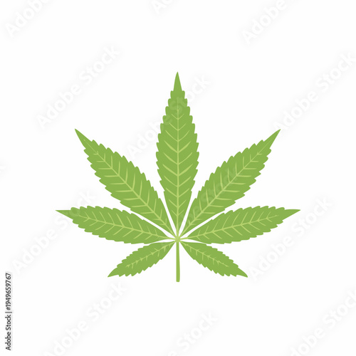 Green cannabis leaf illustration on a white background