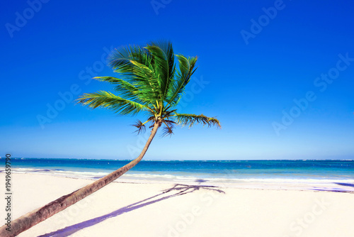 Φωτογραφία Real image of one leaning palm trees on a white sandy beach with turquoise ocean
