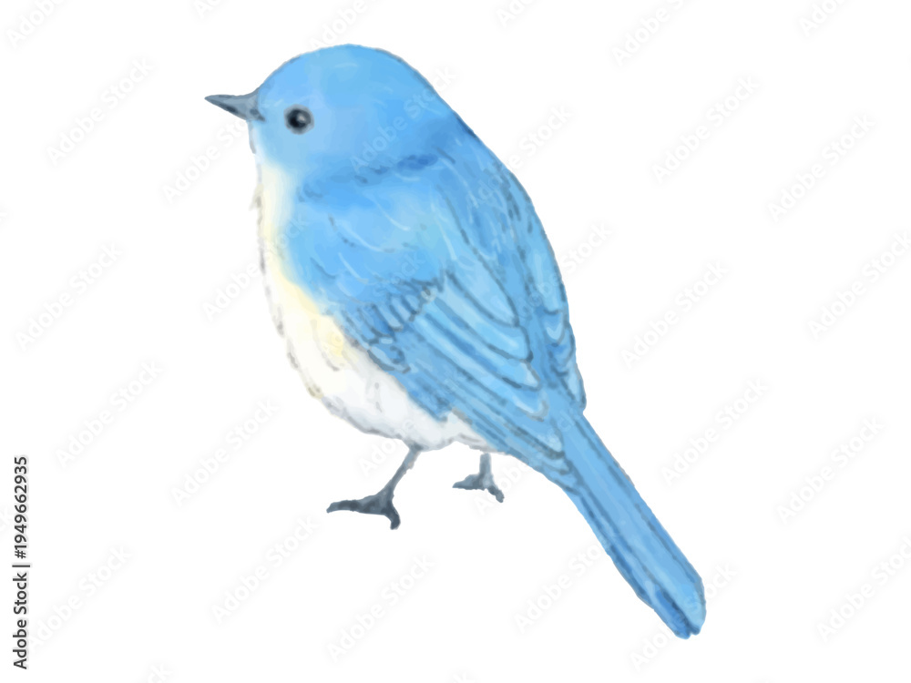 青い鳥 Images – Browse 11,110 Stock Photos, Vectors, and Video