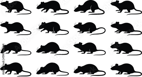 Rat silhouette set, mouse rodent animals collection, pest wildlife mammal vector icons isolated black rat illustration design elements